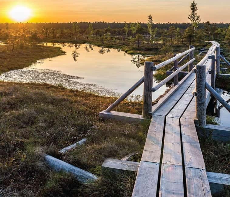 Sunrise Tour To Great Kemeri Bog - Waiting for sunrise at Great Ķemeri bog with tea and local snacks