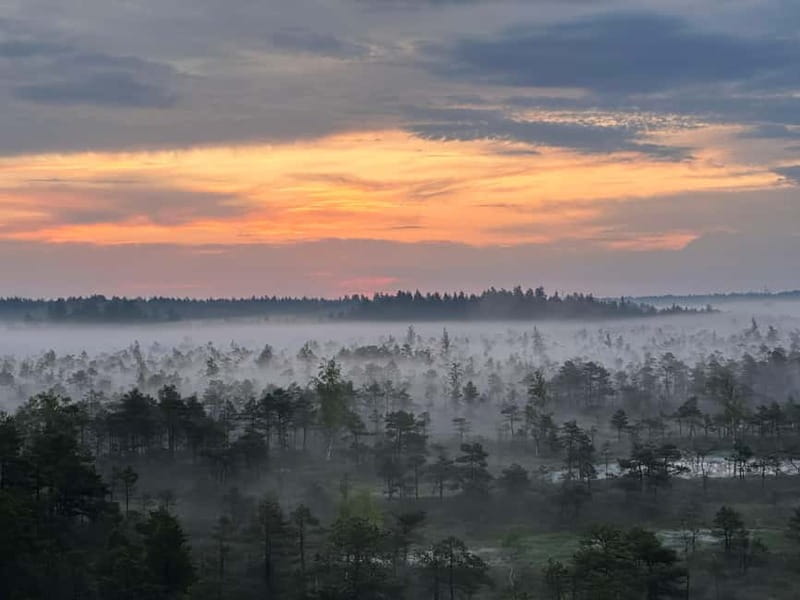Sunrise Tour To Great Kemeri Bog - Kaniera Lake birdwatching tower and reed boardwalk after the light hits