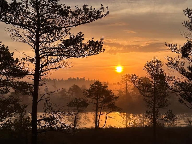 Sunrise Tour To Great Kemeri Bog - The Baltic Sea walk: a second atmosphere without extending the day