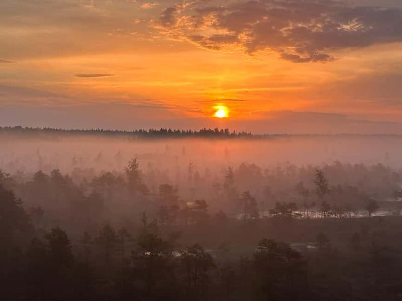 Sunrise Tour To Great Kemeri Bog - Price and value: what $147 buys you in a short 4-hour window