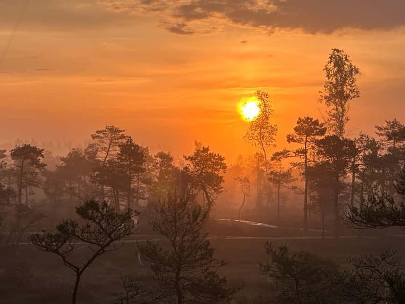 Sunrise Tour To Great Kemeri Bog - What to bring (and what to skip) for a foggy, dark-start morning