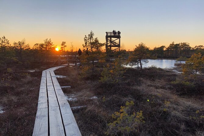 Sunset at Kemeri National Park - Key points before you go