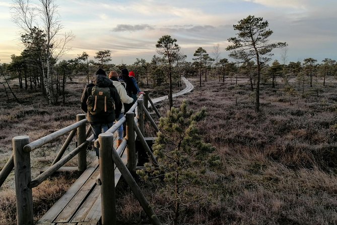 Sunset at Kemeri National Park - The Kemeri Bog walk: what you’ll actually experience
