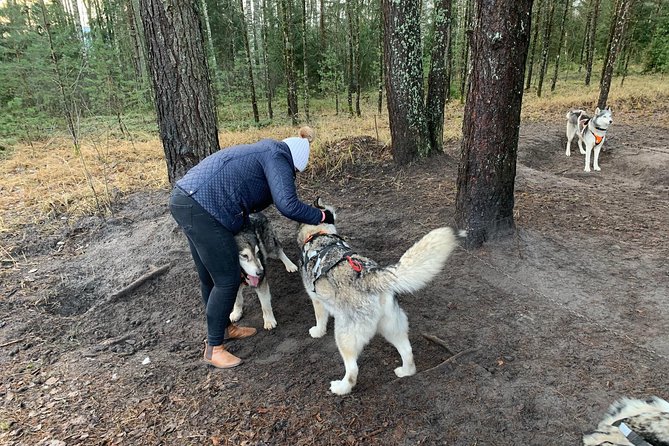 Ultimate Husky dog sledding experience in Latvia - Private tour from Riga - Turning Howling Into Action, Who Does What