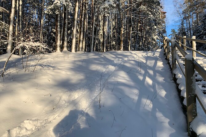 Ultimate Husky dog sledding experience in Latvia - Private tour from Riga - The Ride Itself: Short Run Time, Big Feeling