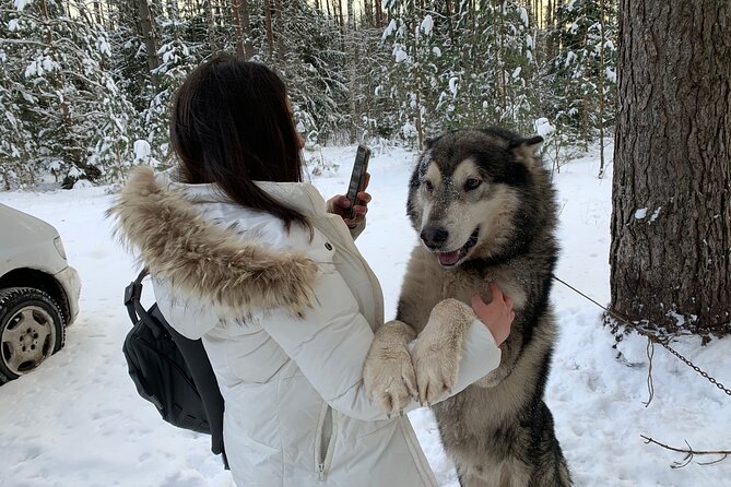 Ultimate Husky dog sledding experience in Latvia - Private tour from Riga - Tower Views: A Nice Add-On While You Wait Your Turn